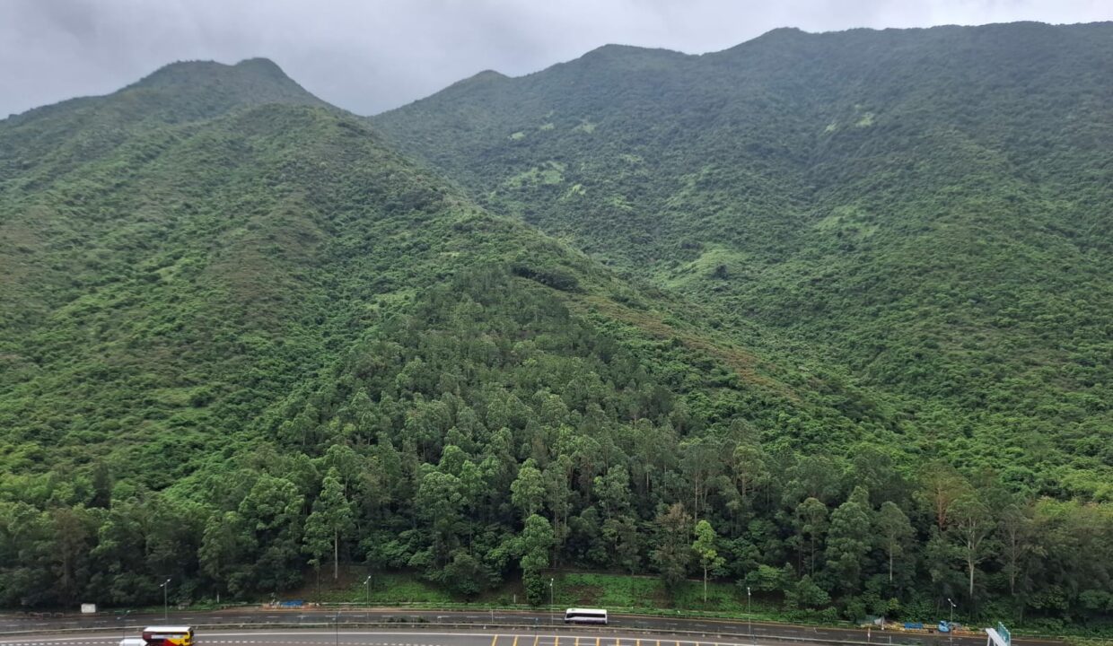 IMG-20250615-WA0058