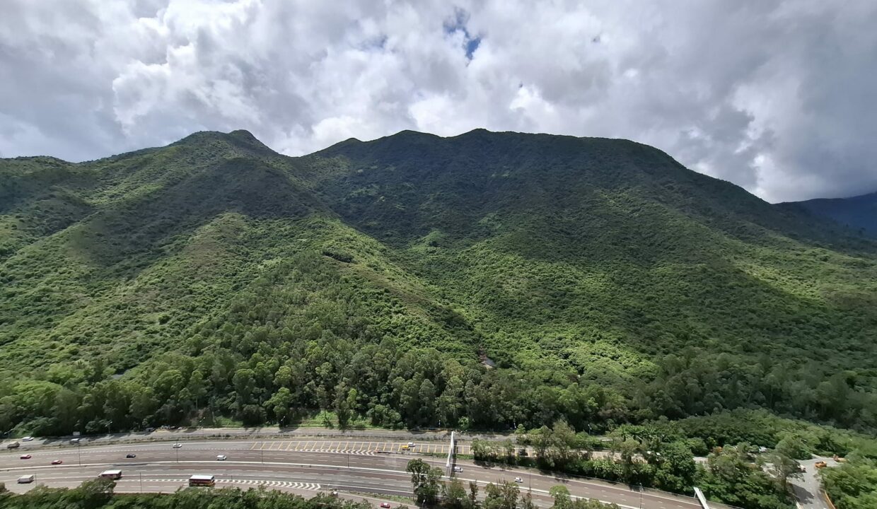 IMG-20250620-WA0167