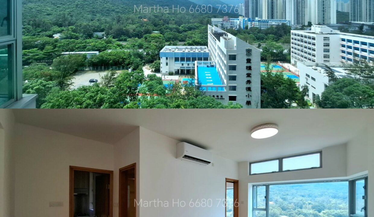 PhotoGrid_Site_1751722792930