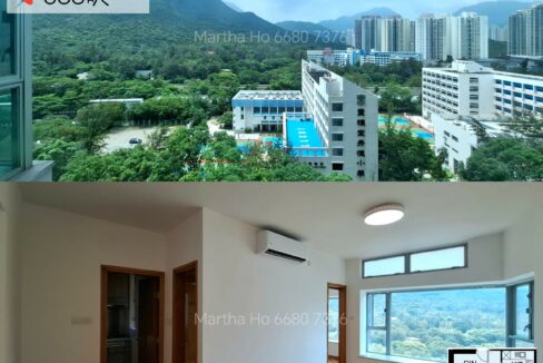 PhotoGrid_Site_1751722792930
