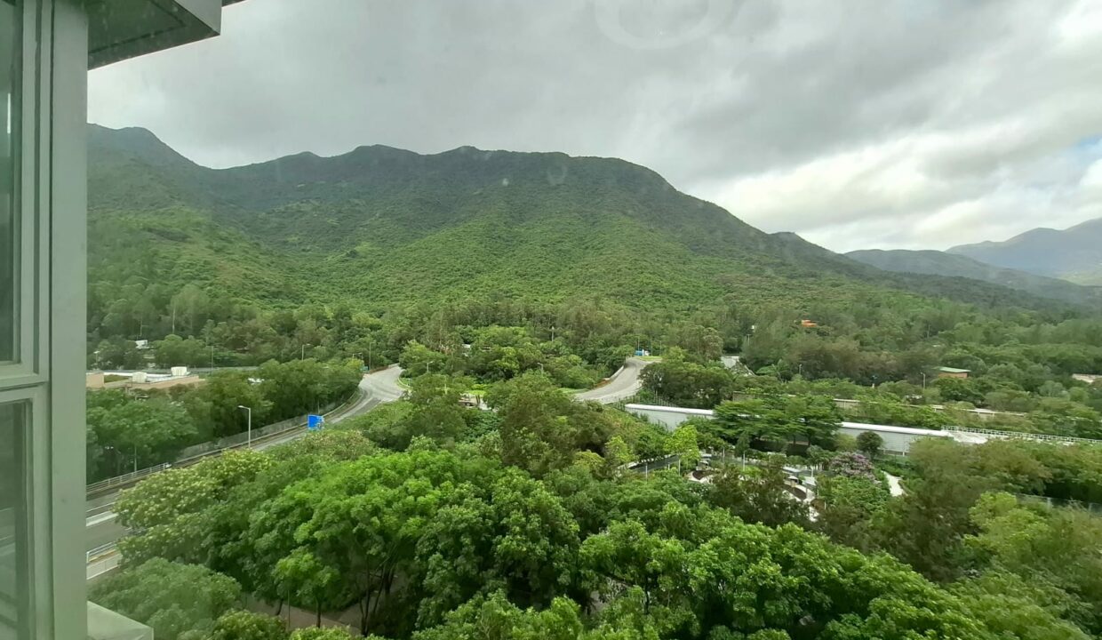 WhatsApp Image 2025-06-12 at 3.04.04 PM (1)